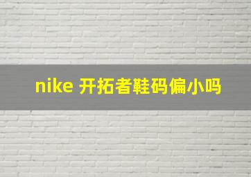 nike 开拓者鞋码偏小吗